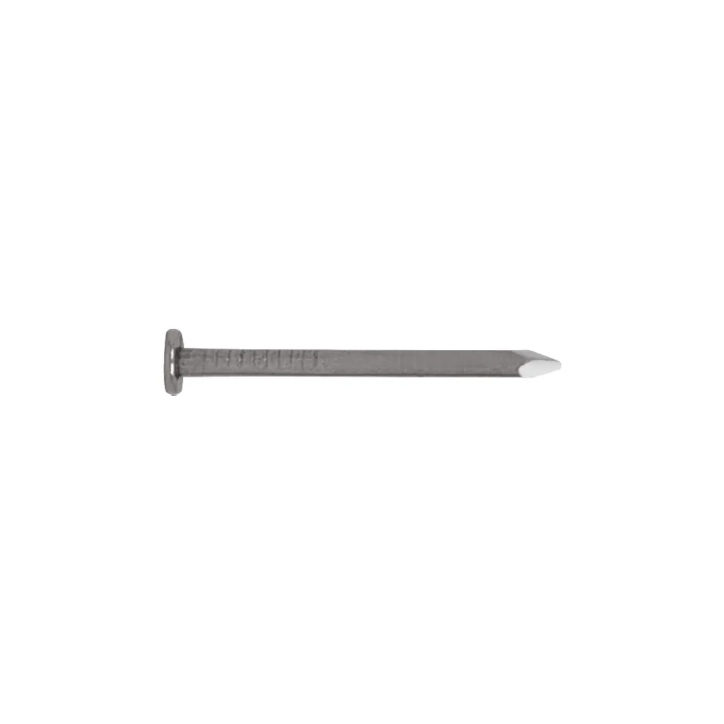 blister-con-130-clavos-estandar-1-con-cabeza-fierocle-1a-7f3.webp