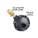regulador-de-gas-lp-1-via-punta-pol-baja-presionrg-100-881.webp