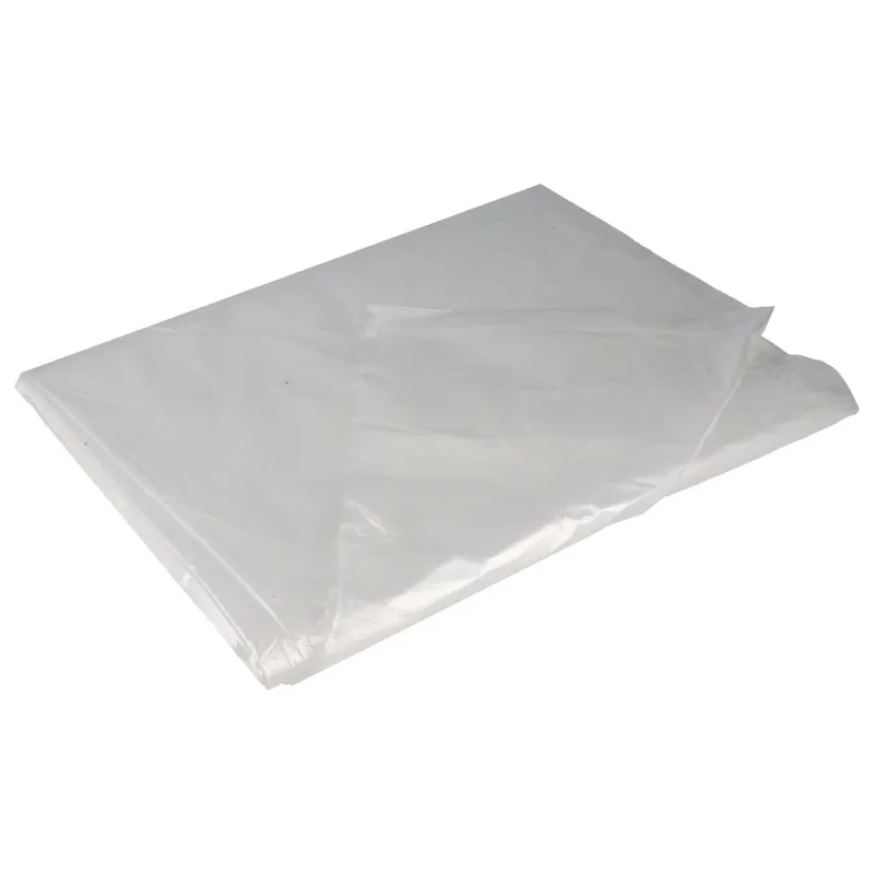 protector-de-plastico-para-pintar-2-x-5-m.webp