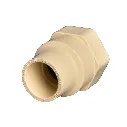 513P-KTPPjL.webp