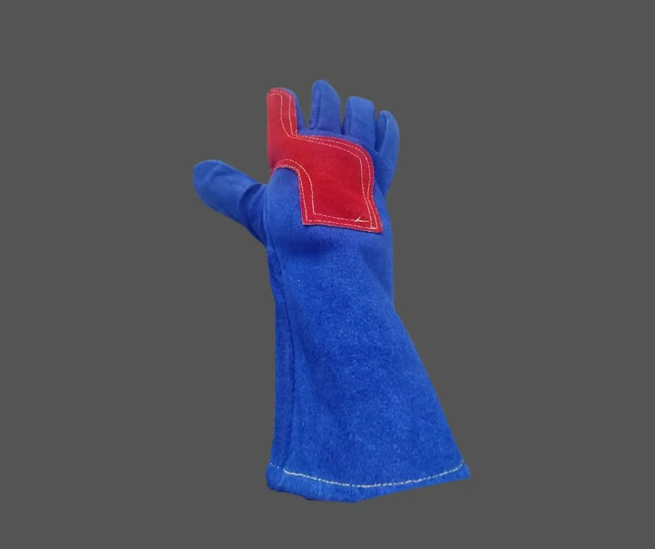 WhatsApp Image 2026-02-05 at 2.32.36 PM.webp