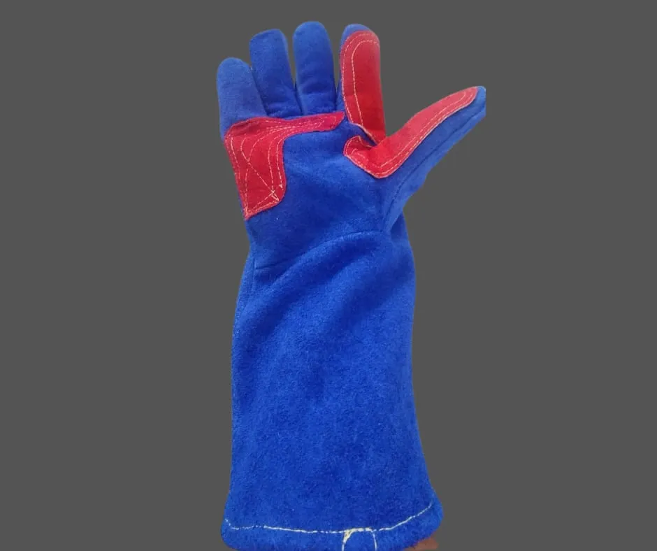 WhatsApp Image 2026-02-05 at 2.36.05 PM.webp