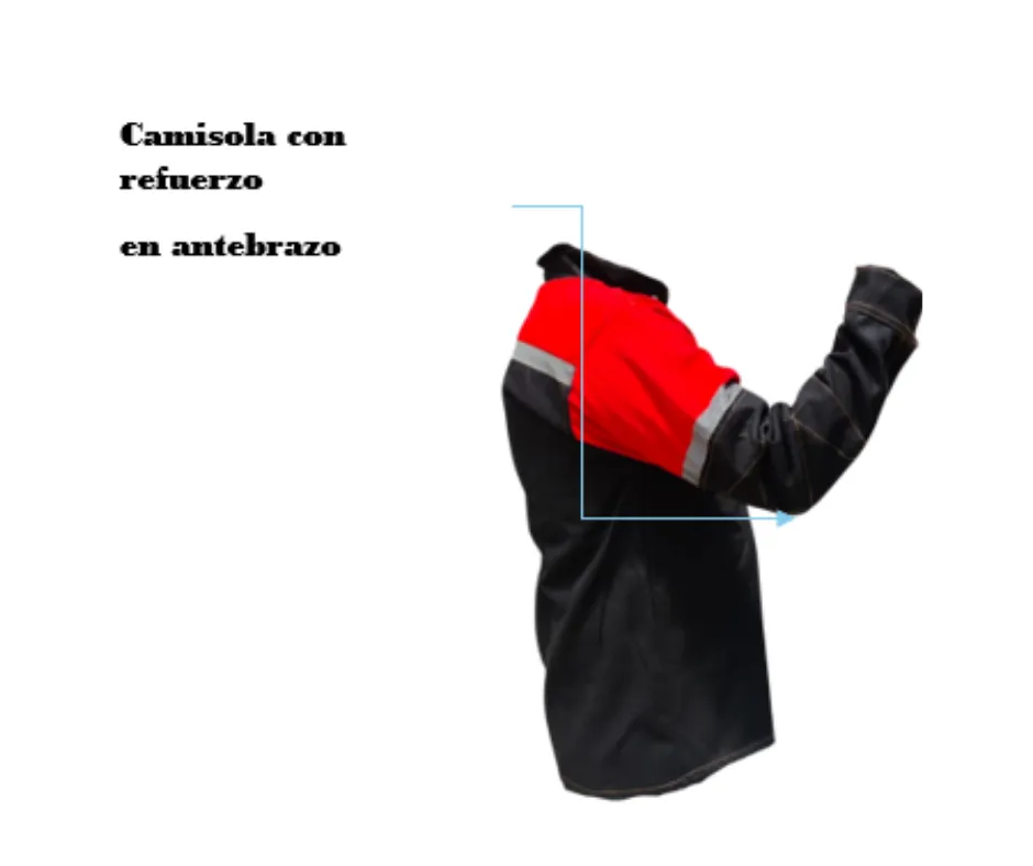 Diseño sin título - 2026-05-01T143929.058.webp