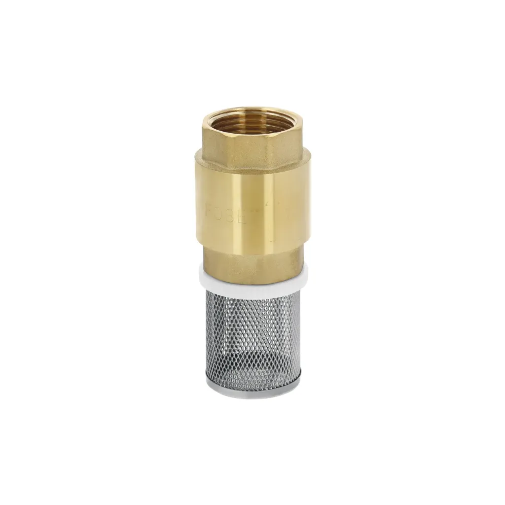 [TP-49056] Pichancha con rejilla acero inoxidable 1', FOSET