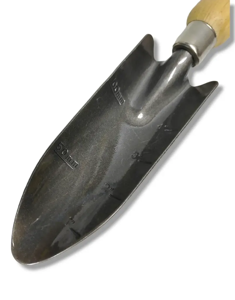 130231 Transplantad p/jard mgo 6"